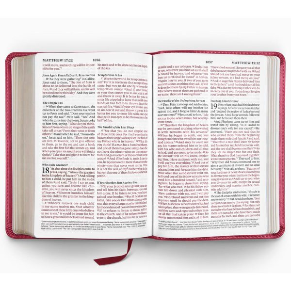 ESV Large Print Compact Bible 45571 Online Hot Sale - Image 2